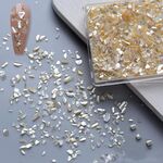 Decorazione per nail art Decorazione per unghie con frammento di conchiglia, stile: 02 Champagne
