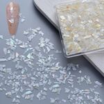 4 scatole Decorazione per unghie Decorazione per unghie Frammento di conchiglia Decorazione per unghie, Stile: 05 Bianco