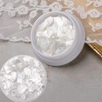 10 Scatole Velluto Conchiglie Pezzo di Mica Adesivi per Unghie Paillettes per Unghie Gioielli (02 Pezzi Grandi)