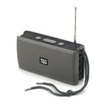 Altoparlanti Bluetooth portatili T&G TG282 con torcia, supporto TF card / FM / disco AUX / U da 3,5 mm / chiamata in vivavoce (grigio)