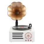 T15 Petunia Retro Vinyl Record Player Multifunzione wireless Mini Bluetooth audio (bianco)