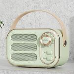 DW13 Hifi Portable Hifi Mini retrò altoparlante Bluetooth (verde)