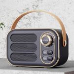 DW13 Hifi Portable Hifi Mini retrò altoparlante Bluetooth (blu)