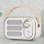 DW13 Hifi Portable Mini retrò retrò altoparlante Bluetooth (bianco)