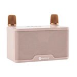 NewRixing NR8088 Microfono wireless TWS Handheld Noise Reduction Altoparlante Bluetooth intelligente (bianco crema)