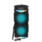 Newrixing NRG6601A Outdoor Karaoke Wireless Stopaker 20W Amplificatore audio con microfono (A)