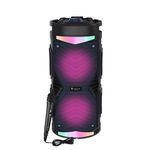 Newrixing NRG6601A Outdoor Karaoke Wireless Altoparlante da 20W Amplificatore audio con microfono (C)