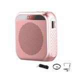 S17 Mini Guida turistica portatile Altoparlante didattico con schermo (oro rosa)