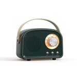DW21 Vintage Radio BT Speaker Support TF Card/U Disk to Play (verde scuro)