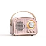 DW21 Vintage Radio BT Speaker Support TF Card/U Disk to Play (Rosa)