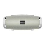 Altoparlante Borofone BR3 Boyun Sports Bluetooth 5.0 (grigio)