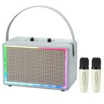 Altoparlante Bluetooth esterno retrò audio karaoke con effetti di luce colorata in pelle, stile: doppio microfono (grigio)