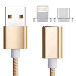 2 in 1 5 V 2A Micro USB & 8 PIN a USB 2.0 Cavo dati magnetico in stile tessuto, cavo: 1,2 m (oro)