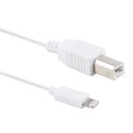 Adattatore cavo MIDI da 1 m 8 pin a tipo B maschio / cavo per pianoforte elettronico, per iPhone X, iPhone 8 Plus e 7 Plus, iPhone 8 e 7, iPhone 6 Plus e 6s Plus, iPhone 6 e 6s, iPad, supporto sistema iOS 11.4 (bianco)