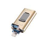 Richwell 3 in 1 16G Type-C + 8 pin + USB 3.0 disco flash push-pull in metallo con funzione OTG (oro)