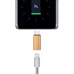 Adattatore a guscio metallico maschio da 8 pin femmina a USB-C / tipo C, Adattatore con guscio in metallo maschio da 8 pin femmina a USB-C / tipo C (oro)