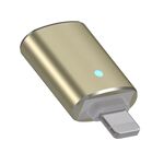 Adattatore da 8 pin OTG (oro)
