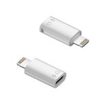Adattatore OTG da 8 pin a USB-C / Tipo-C