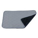 2 pz 50x40cm Car Pet PET Iniezione Pad Impermeabile Pad Cat Dog Sofa Impermeabile Tappeto Diafolico Tappeto Acqua assorbente (grigio chiaro)