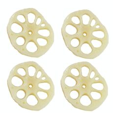 10 PCS Simulazione della radice Modello di alimento Photo Photo Puntelli