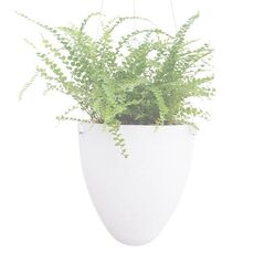 Flowerpot in plastica appeso a filo con assorbimento automatico dell'acqua e superficie smerigliata (calibro D09 19 cm)