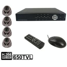 Kit videoregistratore digitale integrato a 4 canali (1/3 Sony CCD, 650TVL, 24 x LED IR, obiettivo 6mm, distanza IR: 25m, H.264 (8204EV + 622A)