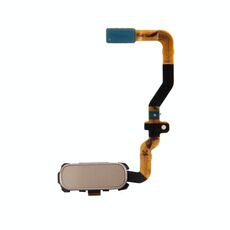 Per Galaxy S7 / G930 Tasto funzione Tasto Home Cavo flessibile (oro)