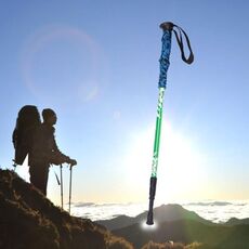 Bastoncini da trekking in alluminio per esterni in alluminio regolabile in altezza da 135 cm (verde)