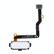 Pulsante Home per Galaxy C5 / C5000 (bianco)