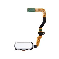 Cavo flessibile per pulsante Home Galaxy S7 / G930 (bianco)