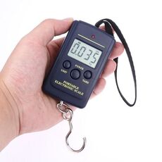 Mini bilancia da pesca digitale da 10 g Bilancia da pesca da viaggio Steelyard Appeso a gancio elettronico Bilancia da cucina, Capacità: 40 kg senza retroilluminazione