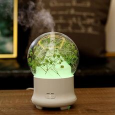 ML-824 Umidificatore d'aria con diffusore di aromaterapia fiori 100ML Gypsophila con luce LED colorata per ufficio / casa (verde)