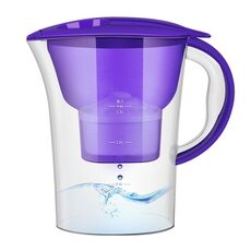 Bottiglia per acqua fredda con filtro a carbone attivo da cucina portatile da 1,3 litri (viola)
