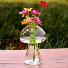 Vaso di vetro a forma di fungo Contenitore per bottiglie di terrario Decorazione per la tavola di fiori