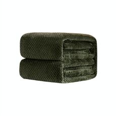 Coperta di flanella di ananas a rete tinta unita addensata Coperta di flanella in pile di corallo Aria condizionata Copridivano Lenzuola calde invernali Coperte di pelliccia sintetica facili da lavare, Dimensioni: 120x200cm (Verde militare)