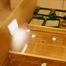 7 LED Smart Sensor Cabinets Lampada LED Night Light Luce incernierata