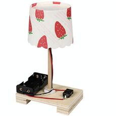 Scuola primaria creativo fai da te piccola lampada da tavolo Tecnologia Piccola Produzione studenti Manuale Experiment Scienza dei Materiali