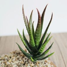 Piante Mini artificiale Aloe plastica Craft Floristry Landscape Garden Family Office Decoration