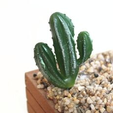 2 PCS artificiale Mini giardino di cactus Paesaggio Home Office Decoration