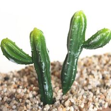 2 PCS artificiale Mini giardino di cactus Paesaggio Home Office Decoration