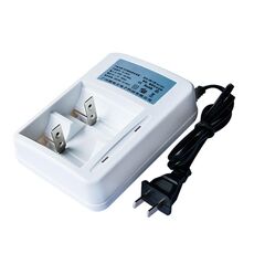 Caricabatteria AC 220V a 2 slot per batterie AA e AAA e C / D, spina CN