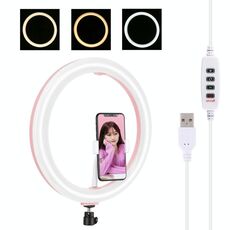PULUZ 11,8 pollici 30 cm USB 3 modalità dimmerabile doppia temperatura colore LED curvo anello di luce diffusa Vlogging selfie fotografia luci video con morsetto telefono (rosa)