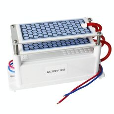 Generatore di ozono in ceramica portatile Purificatore d'aria a due fogli Sterilizzante purificatore di ossigeno attivo (220V 10G)