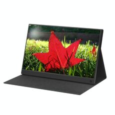 Monitor da 15,6 pollici 1080P con display a LED IPS portatile grandangolare da 178 gradi