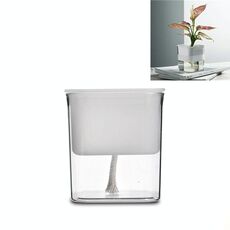 Vaso da fiori idroponico di ravanello verde Vaso da fiori succulente in plastica trasparente non porosa Assorbimento automatico d'acqua (traslucido)
