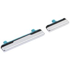 Pulsante di accensione e controllo del volume per Samsung Galaxy S21+ 5G (argento)