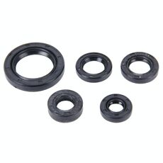 5 PCS Kit paraolio motore in gomma per moto per GN125