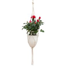 2 pezzi corda di canapa fatta a mano in plastica acqua di stoccaggio dell'acqua di plastica, dimensioni: D03 calibro 11.5 cm