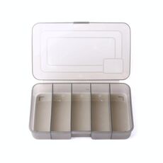 4 pezzi Hengjia QT051 5 Grids Pesca Tackle Box Scatola di immagazzinamento, Dimensioni: Medium