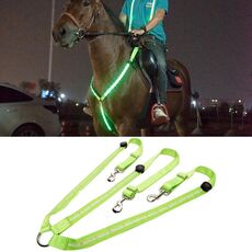 Attrezzatura equestrica all'aperto cinturino a led a led, specifica: verde